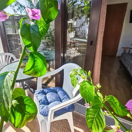 Biljana Appartement Makarska
